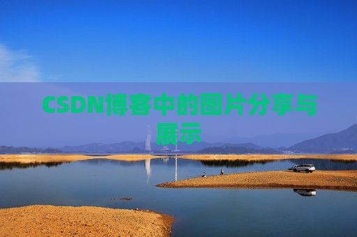 CSDN博客中的图片分享与展示